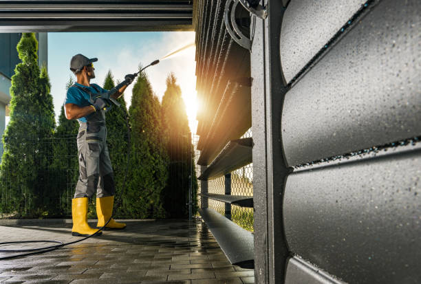 Best Roof Cleaning and Mildew Removal in Pacifi, CA